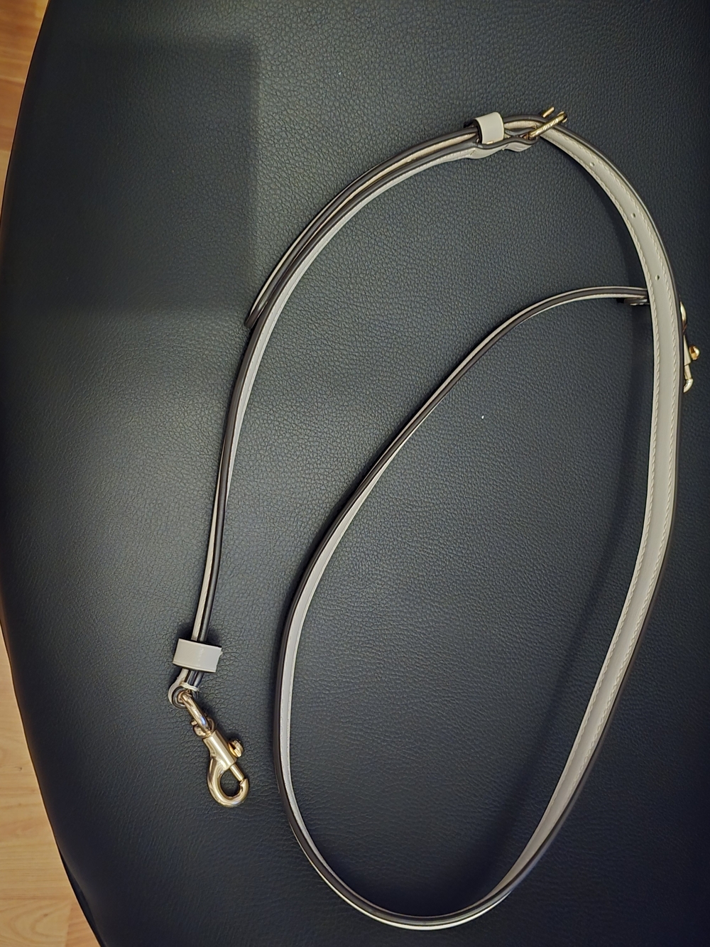 NWOT Coach Women’s Leather Crossbody Strap in White with Gold Hardware